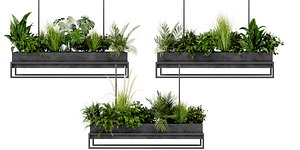 3D Collection plant vol 427 - blender model