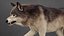 Wolf 2026 XGEN-CORE 리그