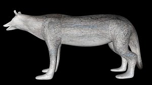 3D gray wolf