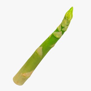 3D Asparagus 07 Green model