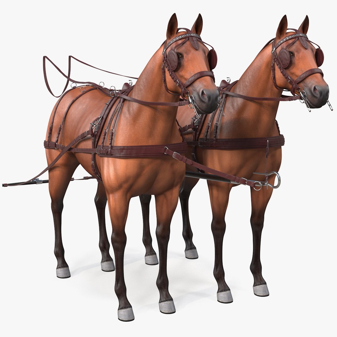 Pair of Breast Collar Harness Rigged 3D model preview