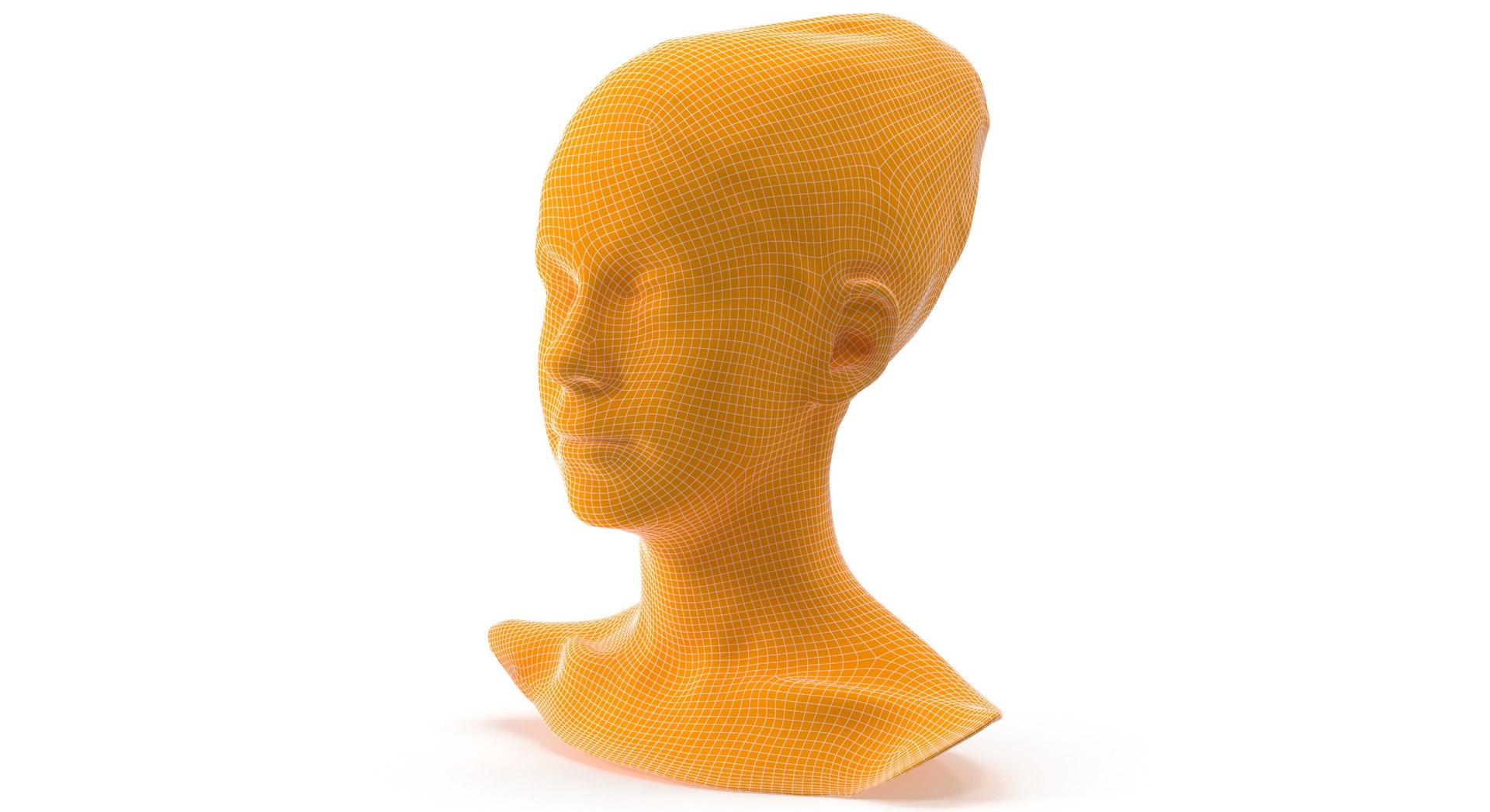 3D rhea human head brow - TurboSquid 1620796