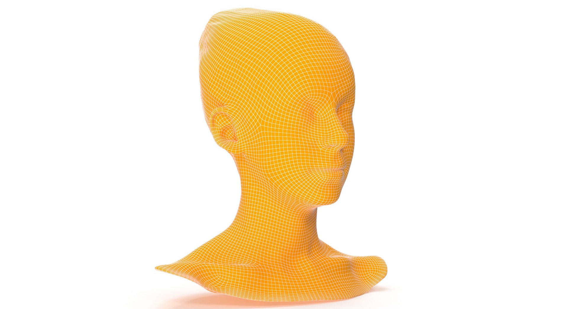 3D rhea human head brow - TurboSquid 1620796