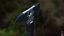 Strider CR Breacher Axe