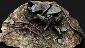 abandoned stone ruins tree roots PBR photogrammetry 3D