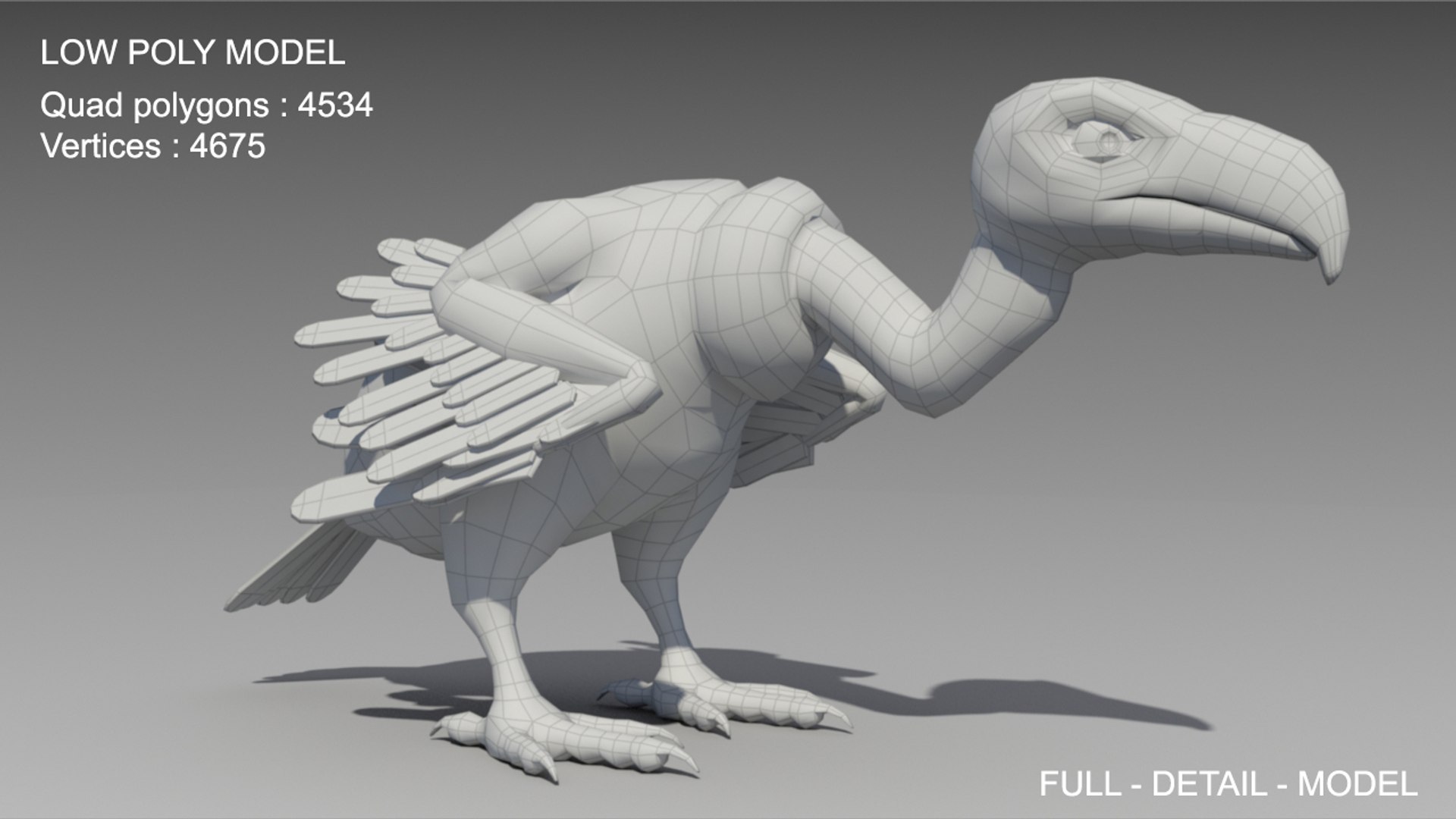 3D Vulture Animations Model - TurboSquid 1333867