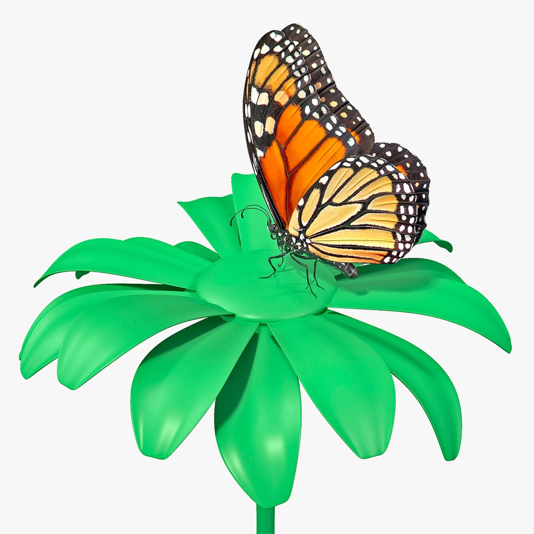 Animated Monarch Butterfly Collects Nectar Rigged for Maya 3D model preview