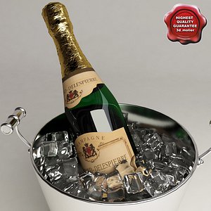 Champagne Buckets