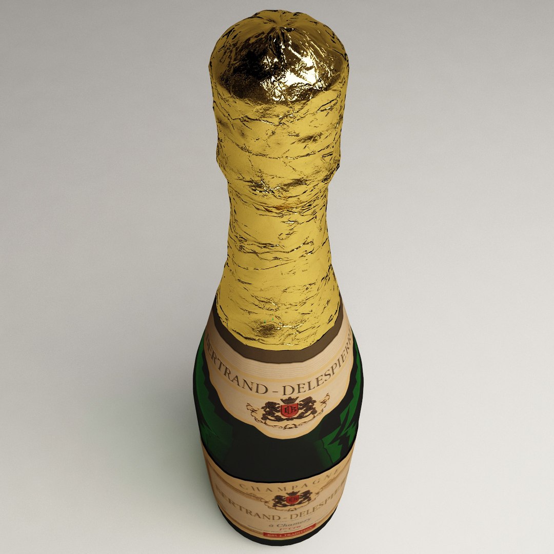 3d champagne buckets