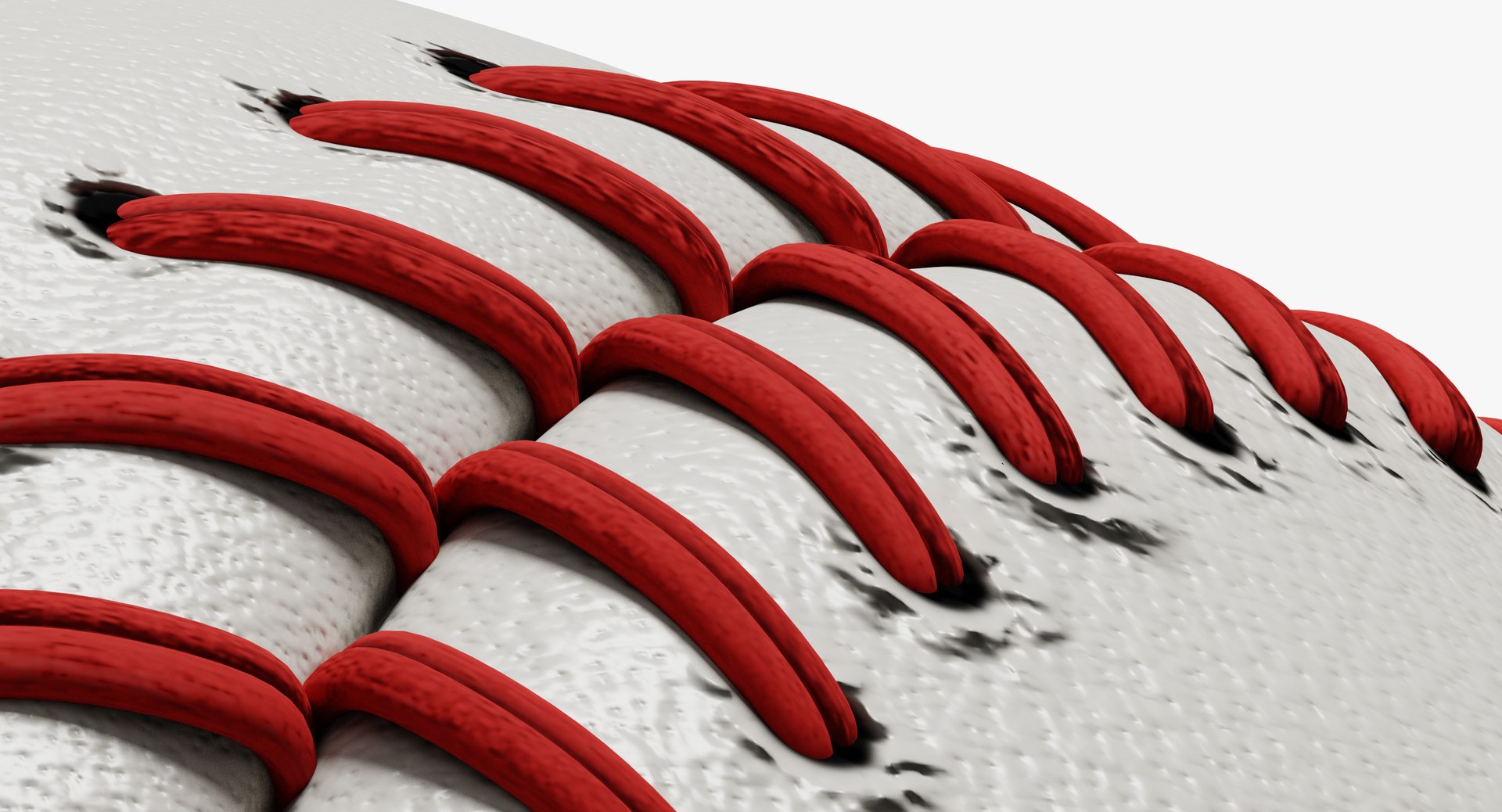 3D Baseball Model - TurboSquid 1948913
