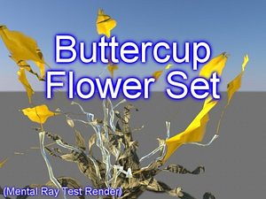 set buttercup flowers 3d model