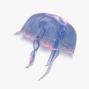 Jellyfish Moon