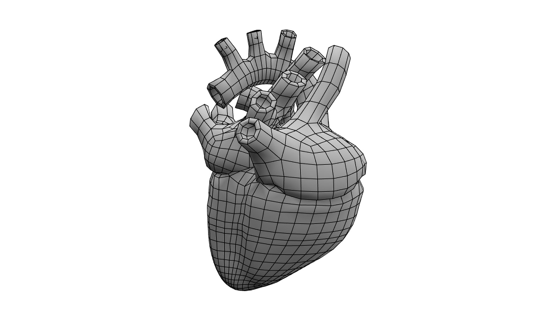 Heart Rigged Animate 3D Model - TurboSquid 1325318