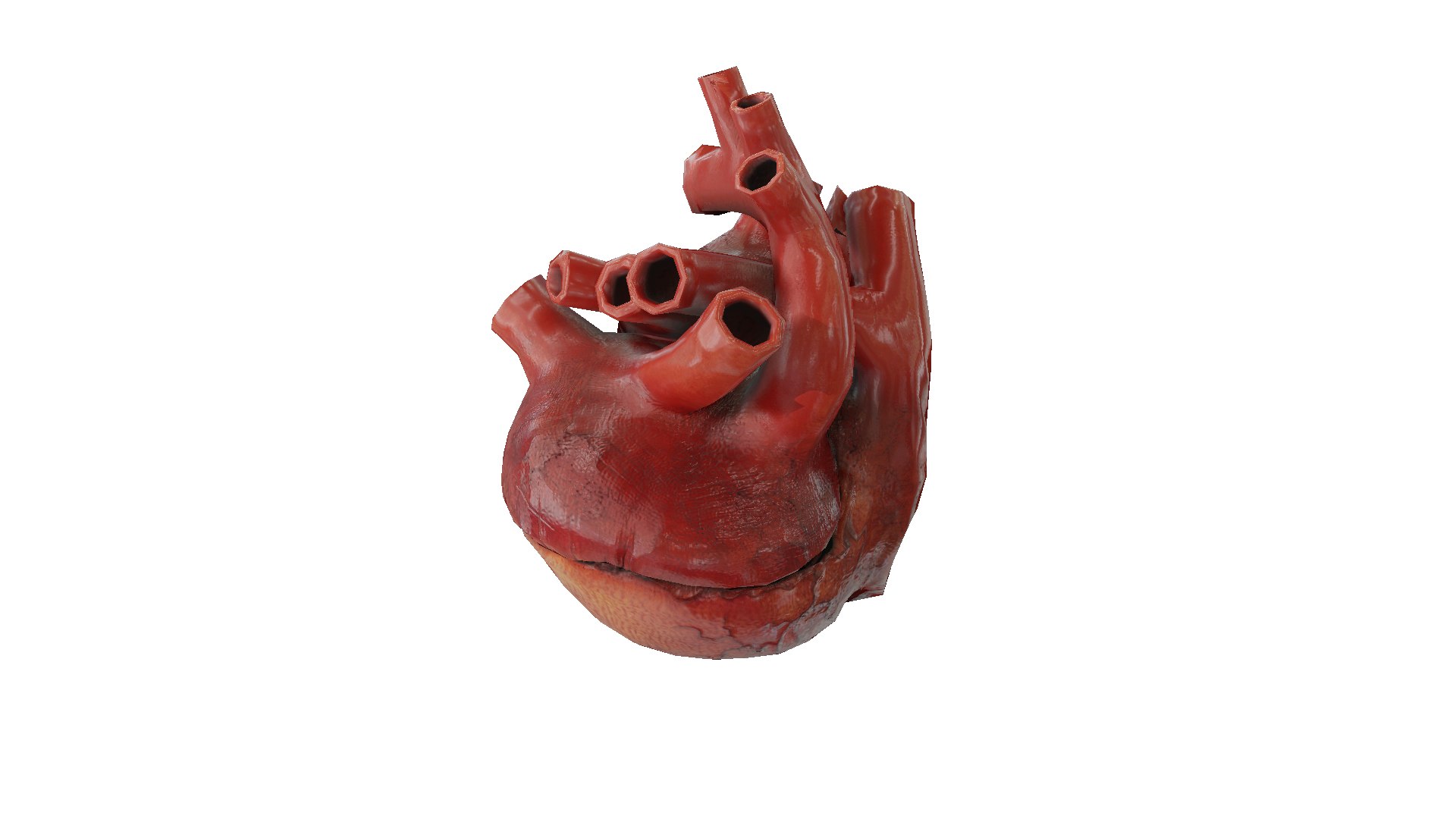 Heart Rigged Animate 3D Model - TurboSquid 1325318