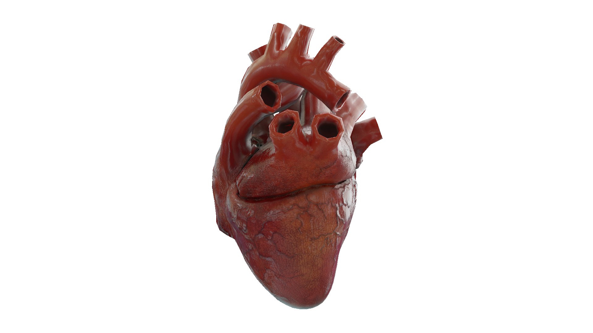 Heart Rigged Animate 3D Model - TurboSquid 1325318
