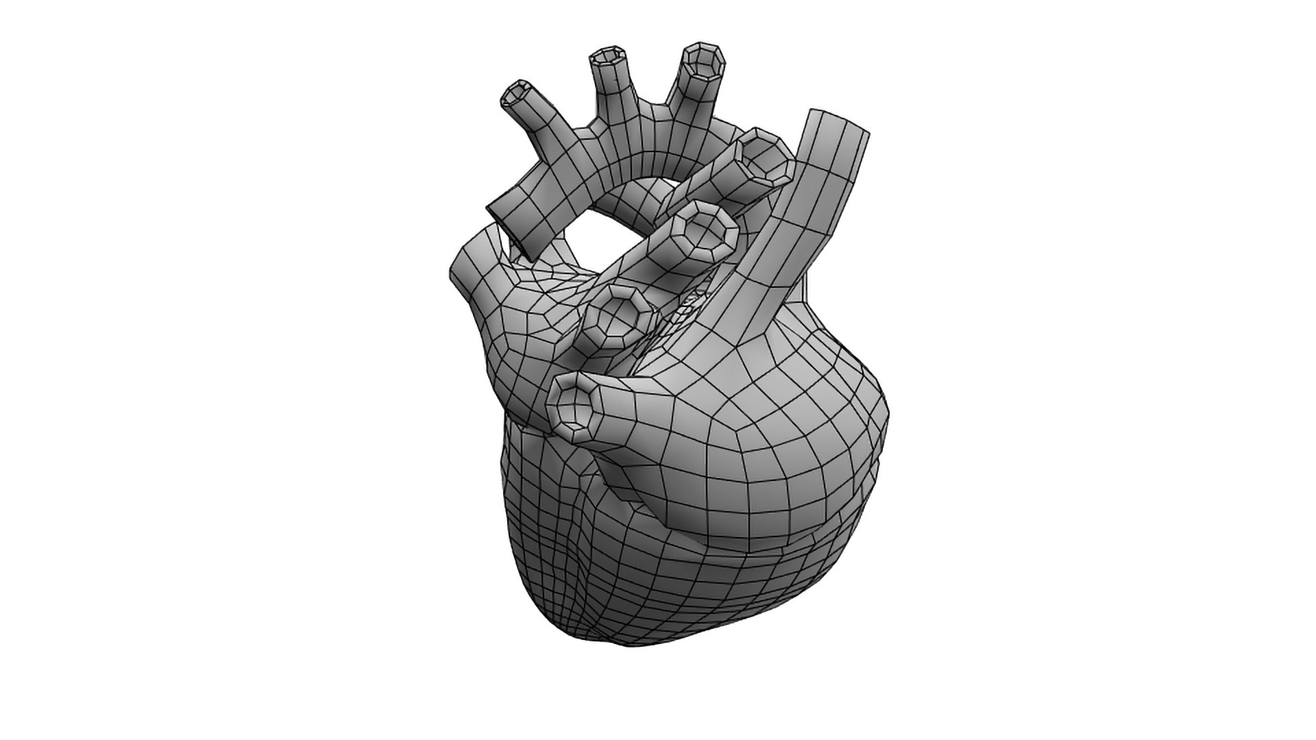 Heart Rigged Animate 3D Model - TurboSquid 1325318