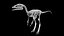 Compsognathus dinosaur skeleton