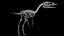 Compsognathus dinosaur skeleton
