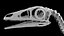 Compsognathus dinosaur skeleton