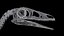 Compsognathus dinosaur skeleton