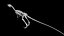 Compsognathus dinosaur skeleton