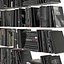 black books set