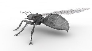 3D Animated Ant 3D model