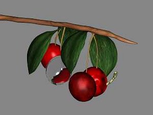 3d worm cherry