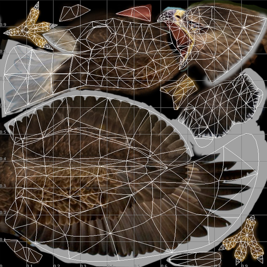 Eagle 3D Model - TurboSquid 2214068