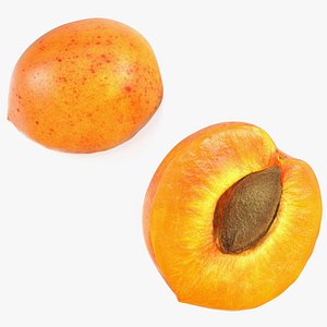 3D Apricot Cut in Half model