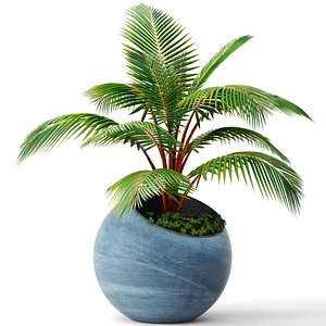 coconut palm 3d max