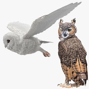 owls rigged model