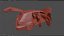 菲亚特 Croma 2006 lowpoly