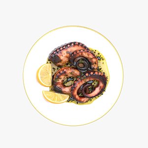 Grilled Octopus model