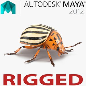 Colorado Potato Beetle Rigged for Maya