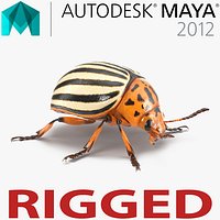 Colorado Potato Beetle Rigged for Maya