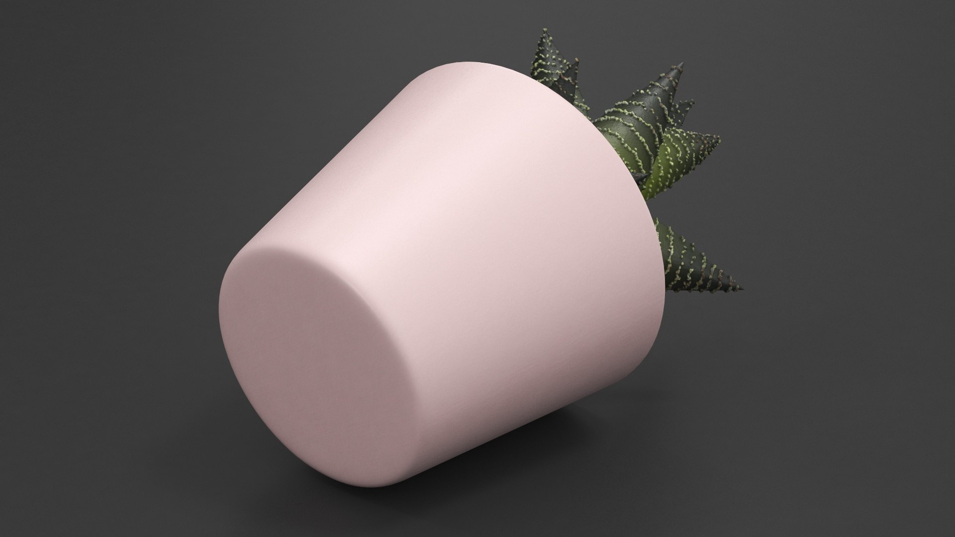 3D Model Home Plant In Ceramic Pot - TurboSquid 1956033