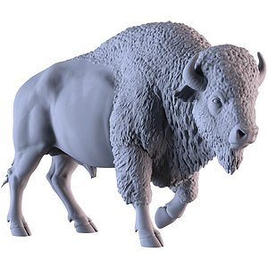 3D Bison model