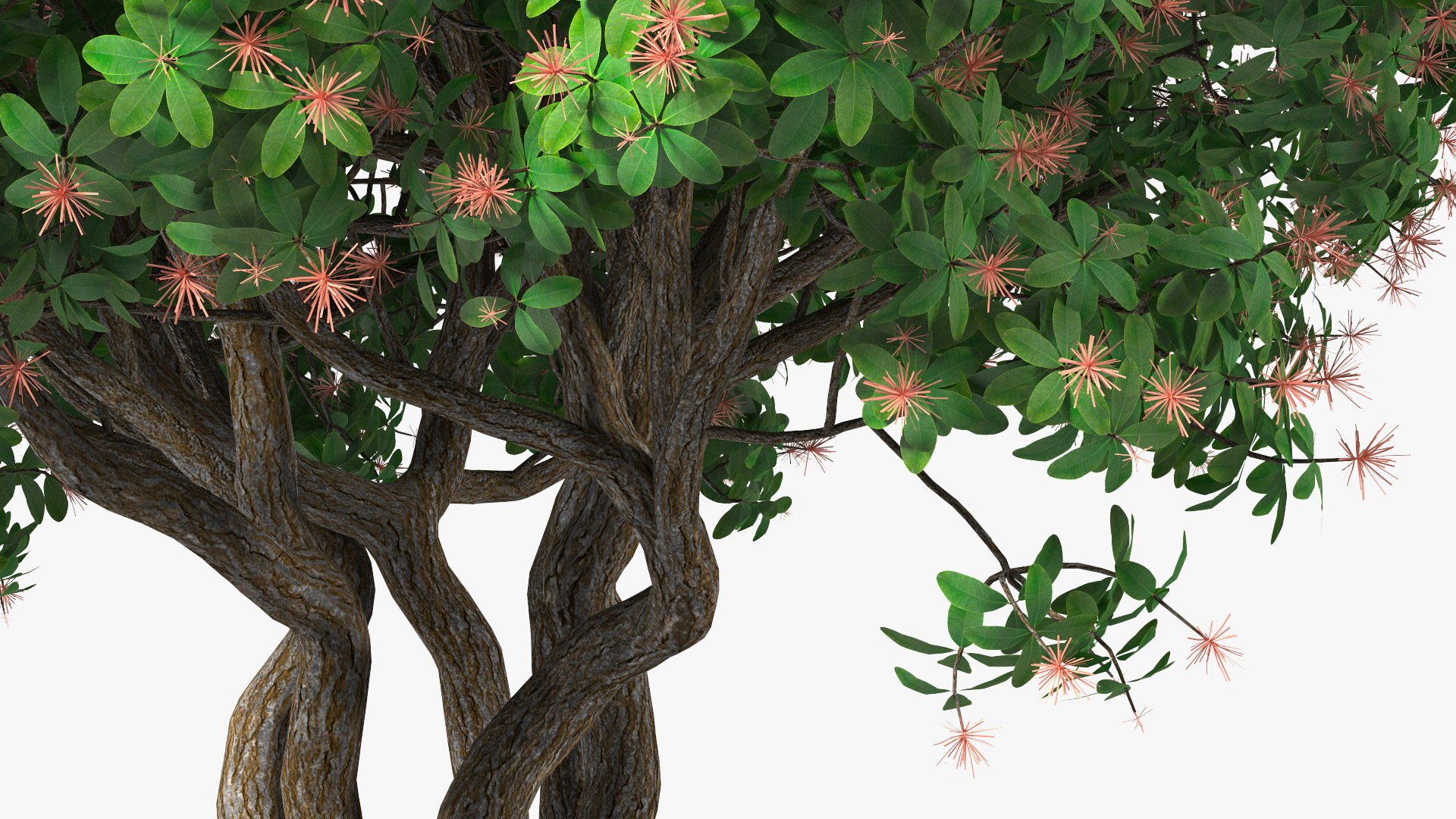 3D foliage twigs rhododendron https://p.turbosquid.com/ts-thumb/YK/tEIzlT/BG/rhododendronfoliagewithtwigs3dmodel012/jpg/1616769828/1920x1080/fit_q87/8c0a0d4711f2648ac61a830dcbaa81274fa1c33c/rhododendronfoliagewithtwigs3dmodel012.jpg