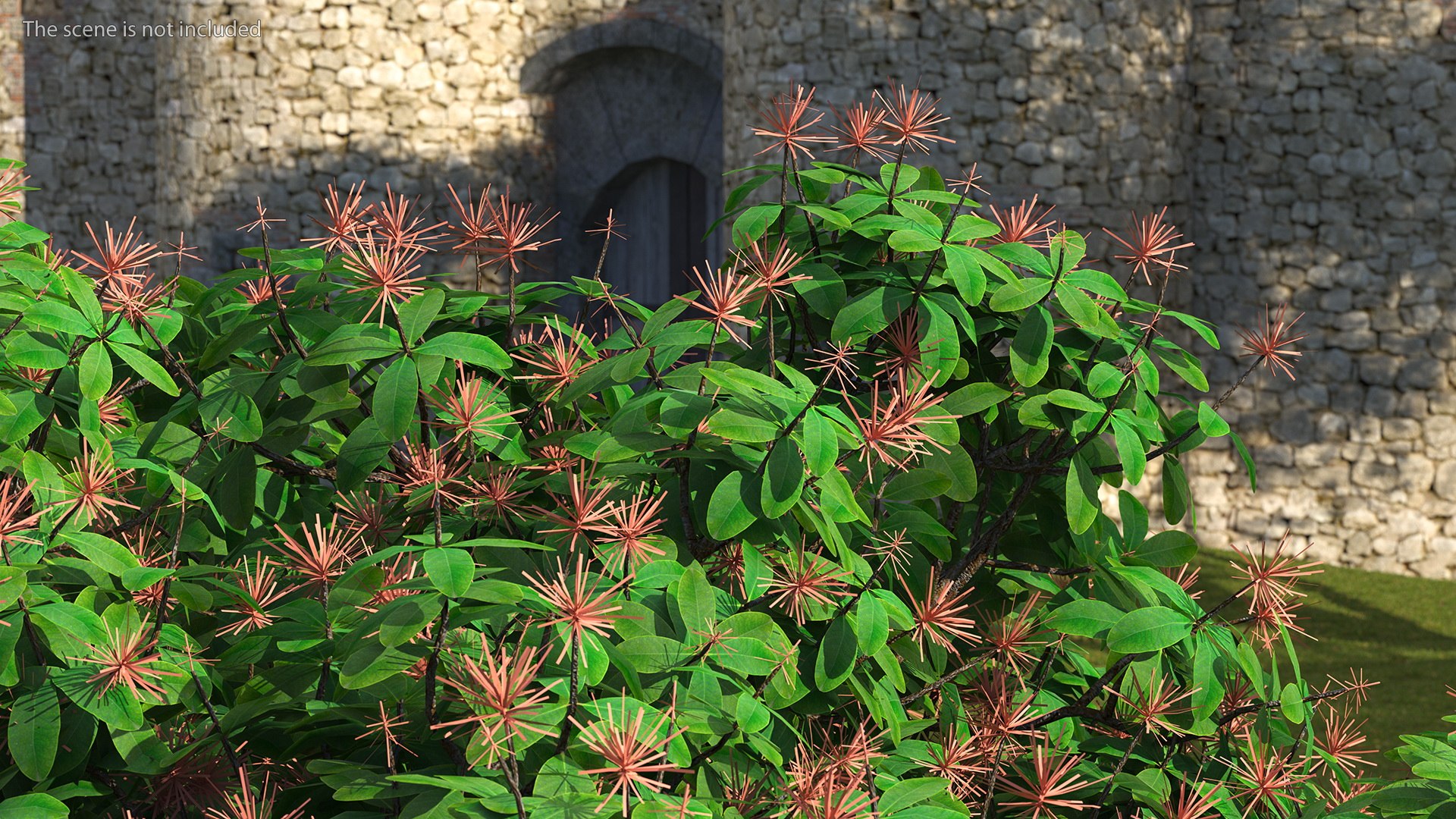 3D foliage twigs rhododendron https://p.turbosquid.com/ts-thumb/YK/tEIzlT/Ce/rhododendronfoliagewithtwigs3dmodel004/jpg/1616769804/1920x1080/fit_q87/d8d668774ef7f396ef0501f588cf4f195d70f8c3/rhododendronfoliagewithtwigs3dmodel004.jpg