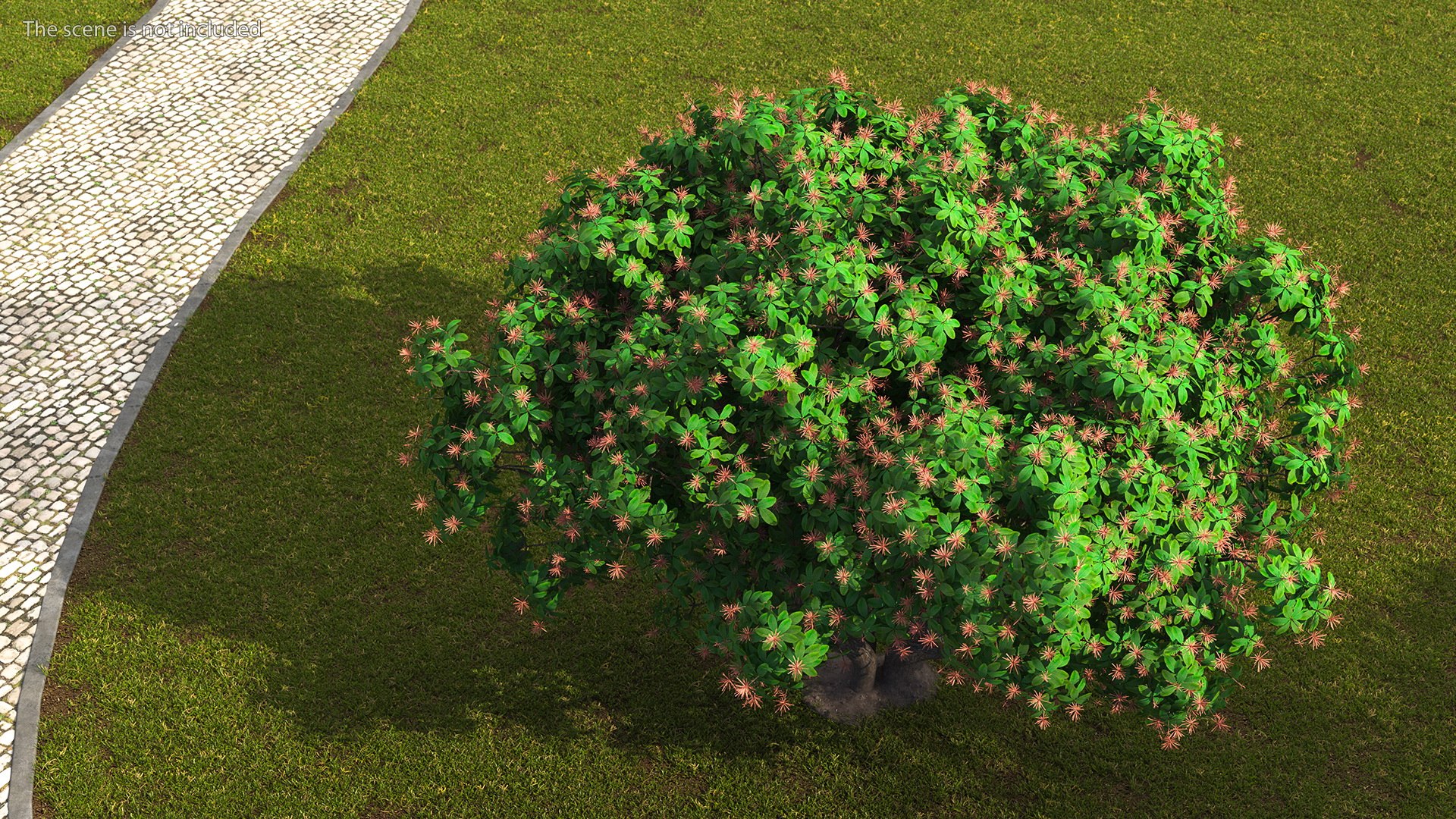 3D foliage twigs rhododendron https://p.turbosquid.com/ts-thumb/YK/tEIzlT/RH/rhododendronfoliagewithtwigs3dmodel003/jpg/1616769799/1920x1080/fit_q87/0f246f945c8f0a996fb3329ed0129a9deaaa537a/rhododendronfoliagewithtwigs3dmodel003.jpg