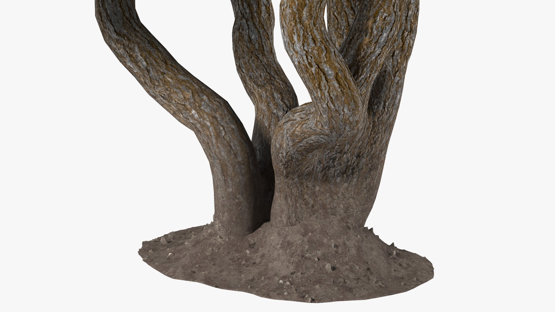 3D foliage twigs rhododendron https://p.turbosquid.com/ts-thumb/YK/tEIzlT/mZ/rhododendronfoliagewithtwigs3dmodel014/jpg/1616769834/1920x1080/fit_q87/07fe20351ec056cd122894cfa64b1346f72f584b/rhododendronfoliagewithtwigs3dmodel014.jpg