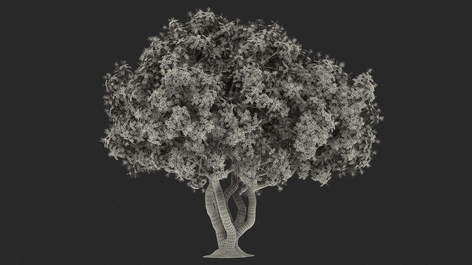 3D foliage twigs rhododendron https://p.turbosquid.com/ts-thumb/YK/tEIzlT/o6/rhododendronfoliagewithtwigs3dmodel027/jpg/1616769887/1920x1080/fit_q87/1c72542c7ff39ae41a017510431a7b19aa5ade6c/rhododendronfoliagewithtwigs3dmodel027.jpg