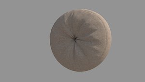 Round Pillow