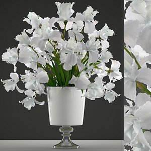 3D bouquet flowers iris