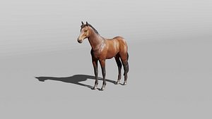 3D horse-rigify-walk-and-run model