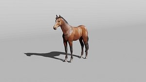 horse-rigify-walk-and-run