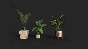 Indoor decorative plants Set 3D Model Low-poly 3D model
