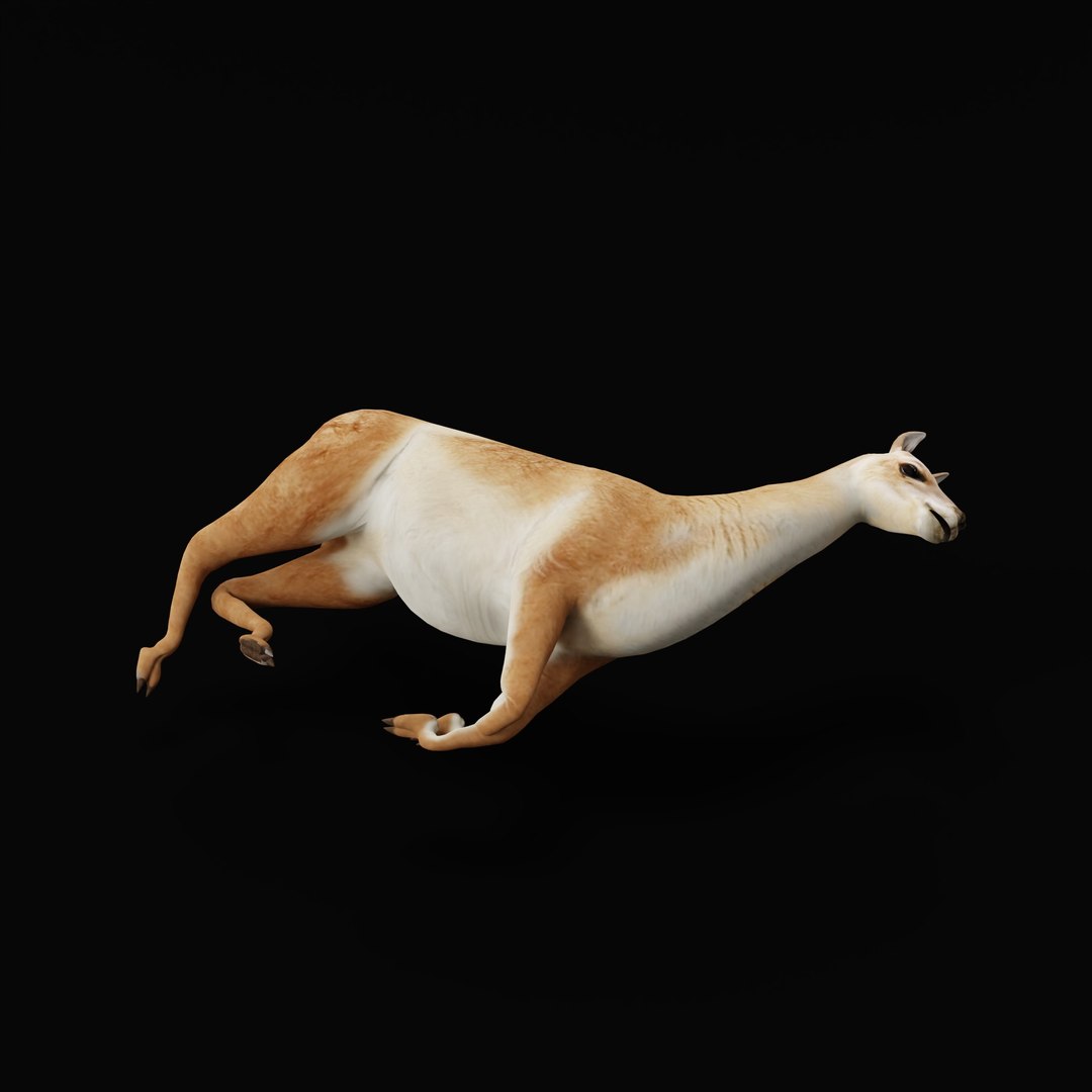3D Guanaco https://p.turbosquid.com/ts-thumb/YL/c3qyTw/06/guanacorigad_0005/jpg/1754178648/1920x1080/fit_q87/4c512e5eef61453175f301dc9cf415498ed5860f/guanacorigad_0005.jpg