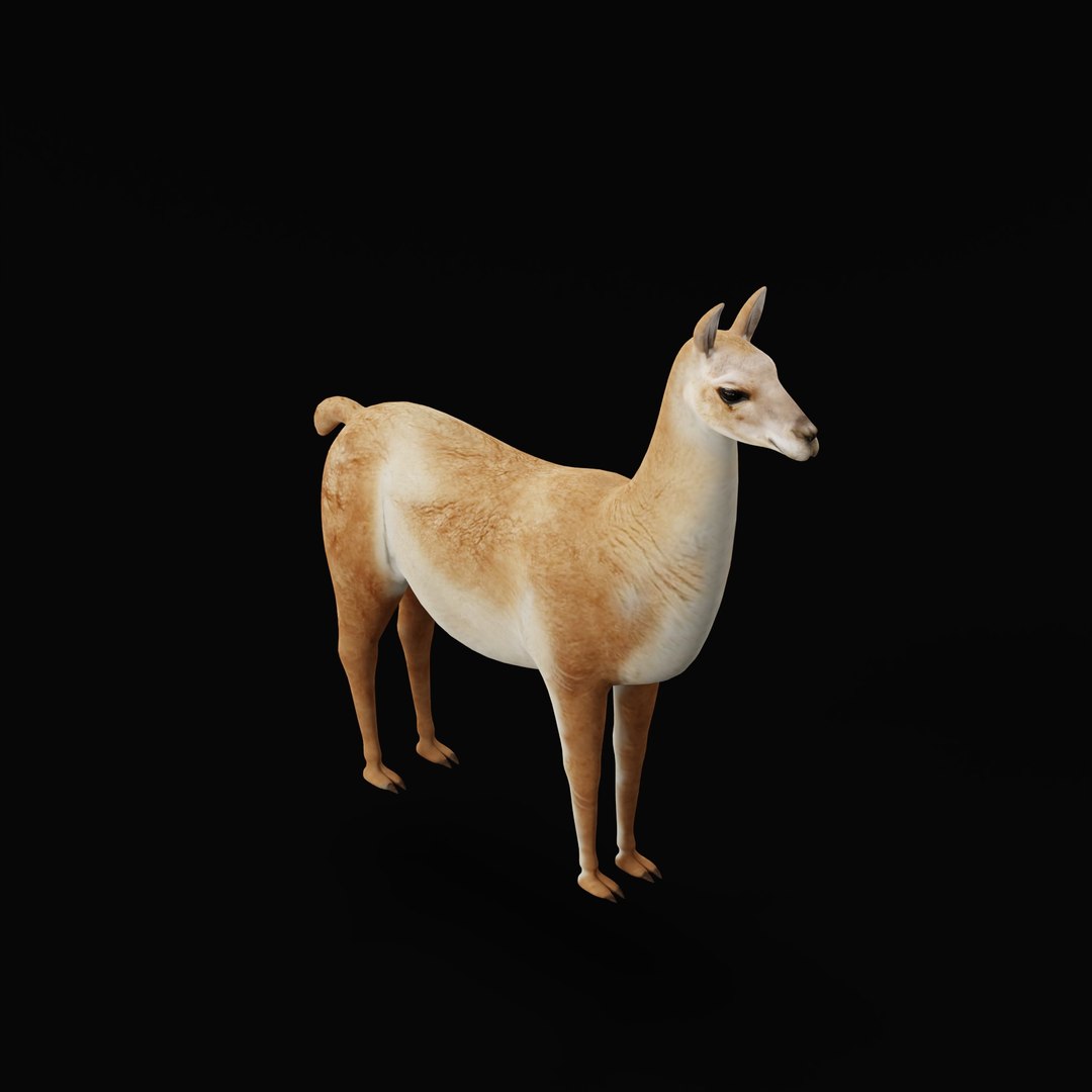 3D Guanaco https://p.turbosquid.com/ts-thumb/YL/c3qyTw/HY/guanacorigad_0003/jpg/1754178647/1920x1080/fit_q87/3214c21c46874b225c5282aa95770aa7842bcb76/guanacorigad_0003.jpg